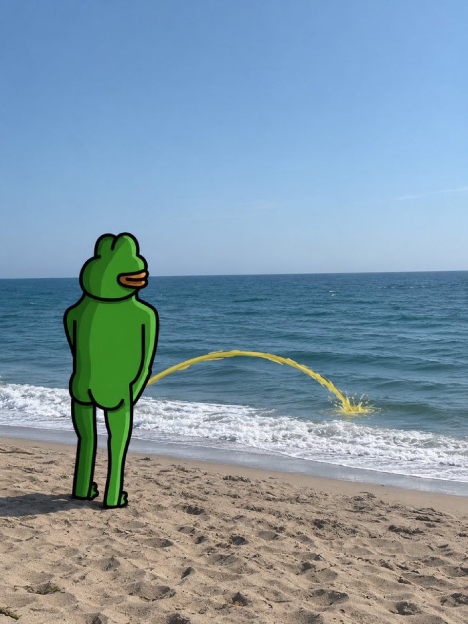 PeePee the cartoon frog standing on a beach facing the ocean